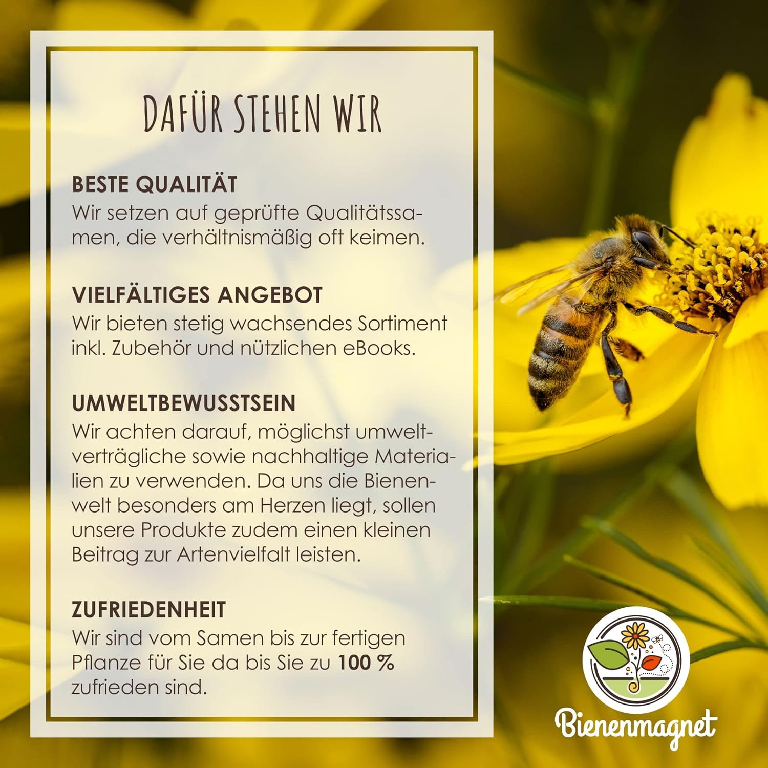 12x Samenbomben – Bunte Wildblumen Seedbombs für Bienen & Schmetterlinge, nachhaltige Geschenkidee, handgefertigt in Deutschland – Bild 2