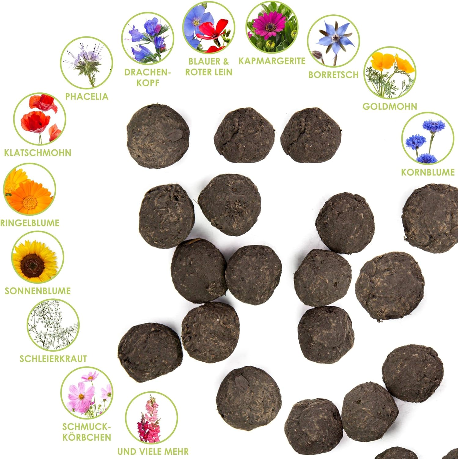 12x Samenbomben – Bunte Wildblumen Seedbombs für Bienen & Schmetterlinge, nachhaltige Geschenkidee, handgefertigt in Deutschland – Bild 4